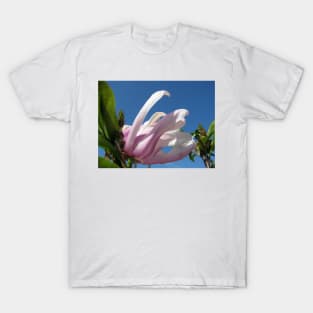 Blooming Pink Magnolia and Blue Sky T-Shirt